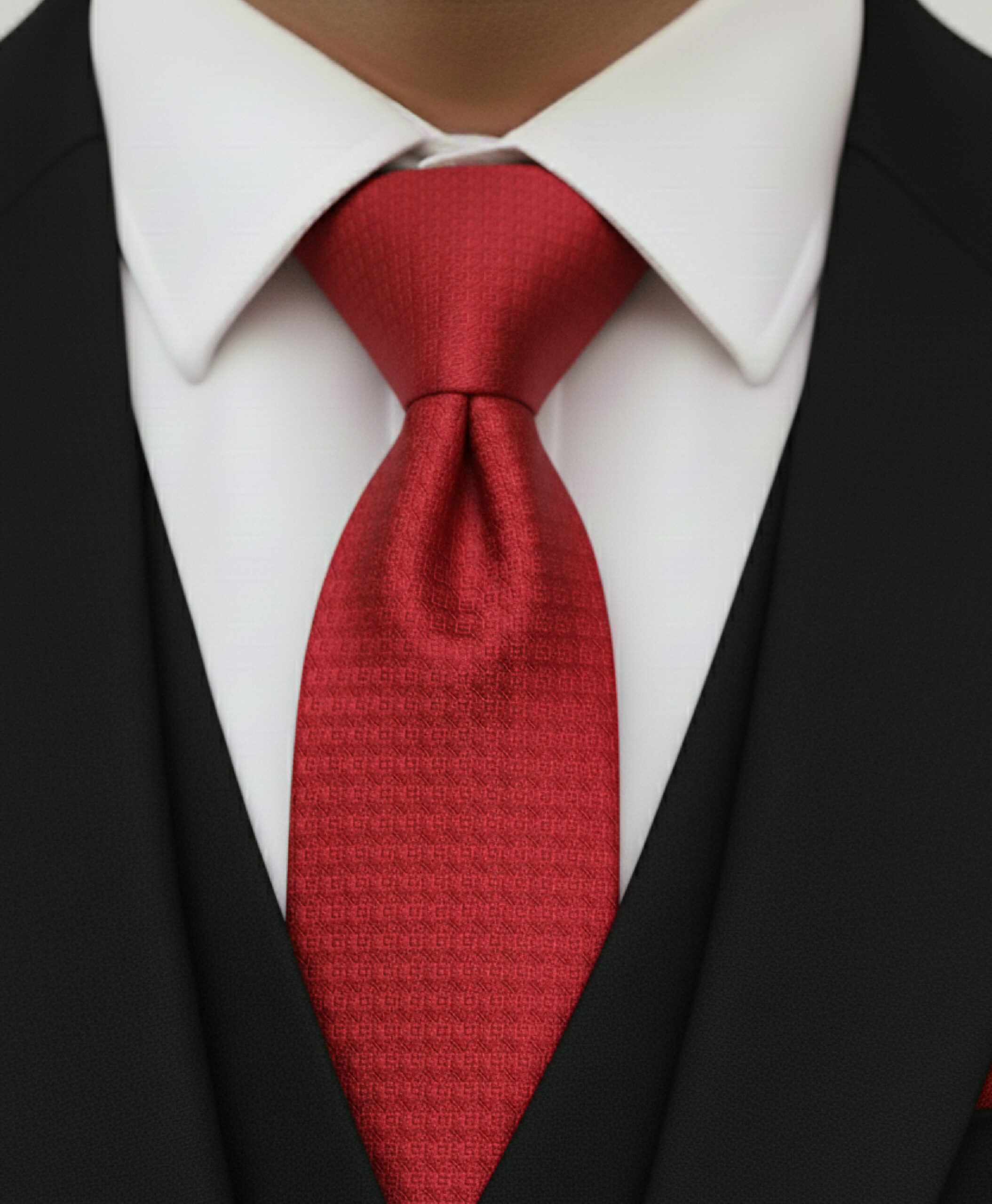 Groom Collection - back